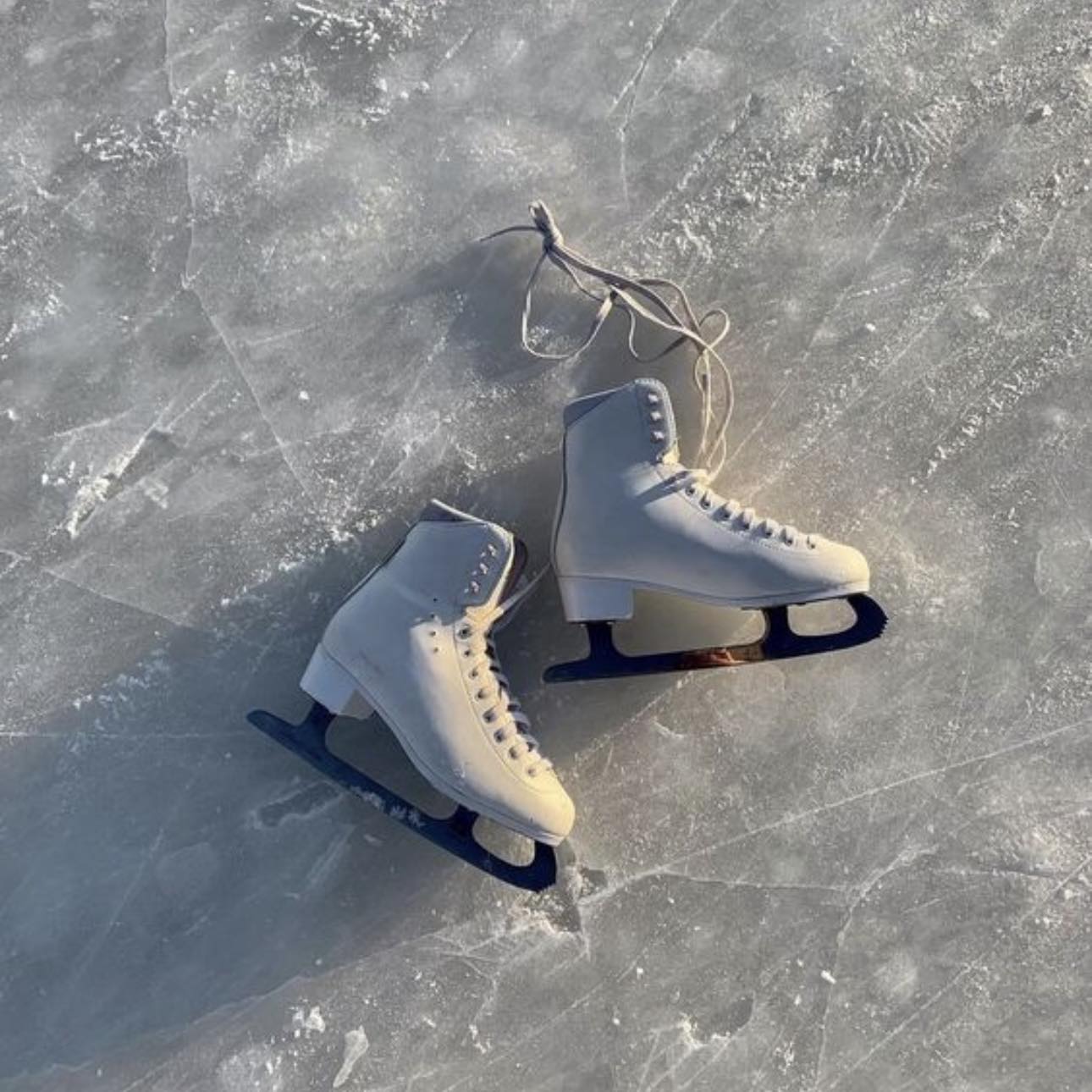 Murray's Ice skating Rink in yonkers ,in the 80's