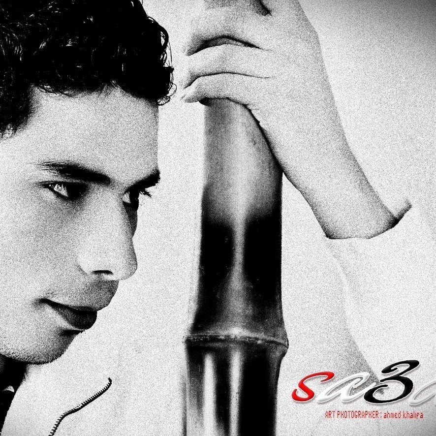 sa3d