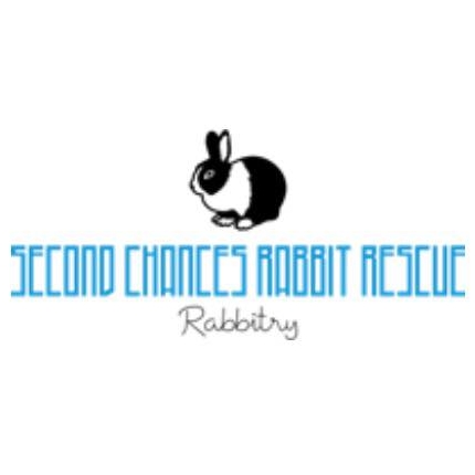 Second Chances Rabbit Rescue