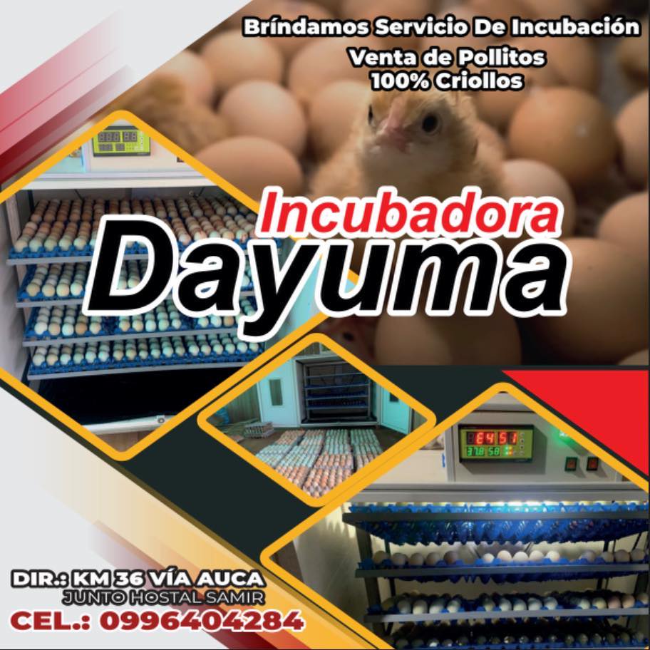 INCUBADORA “DAYUMA”