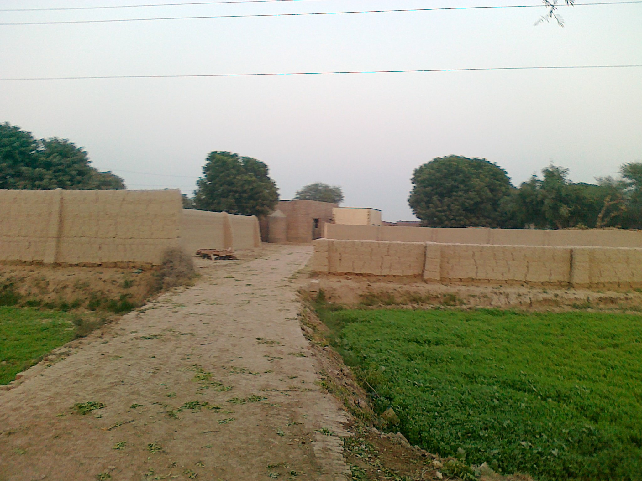 Mohib Ali Rind. ڳوٺ محب علي رند