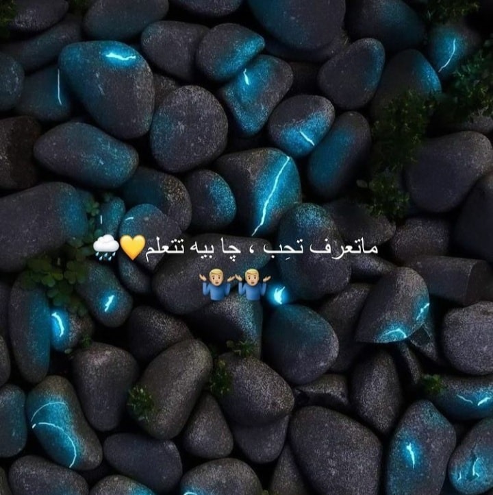اشعار ال شايب ٢