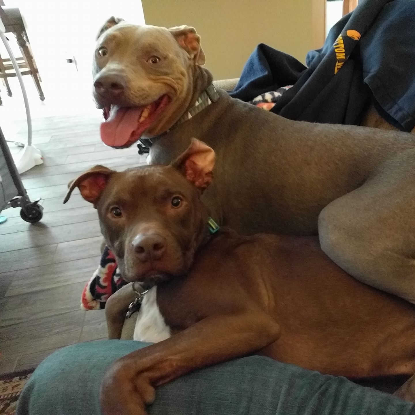 Maximum Chances Rescue