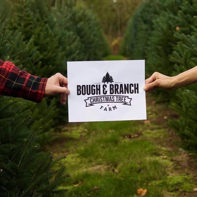 Bough & Branch Christmas Tree Farm | Abbotsford BC