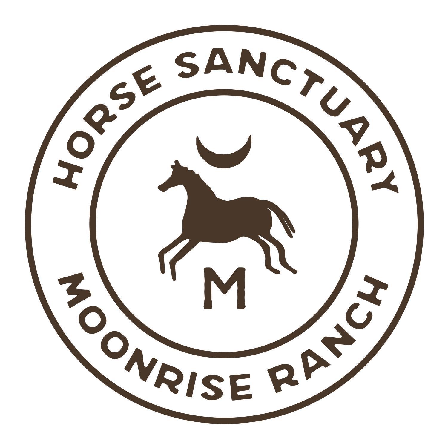 Horse Sanctuary at Moonrise Ranch | Mountain Center CA