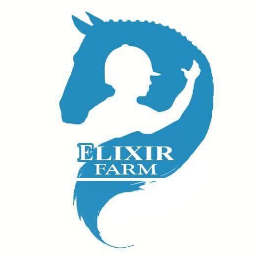 Elixir Farm Boarding & Thoroughbred Sales | Whiteford MD