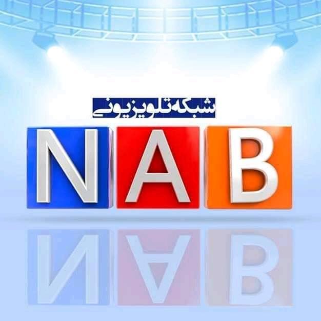 شبکه تلویزیون ناب