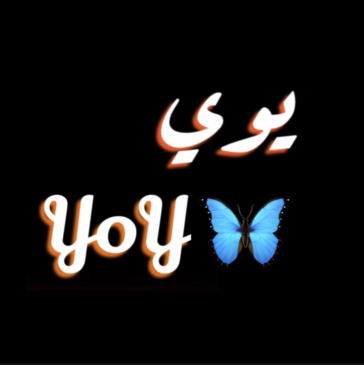 YoY / يوي