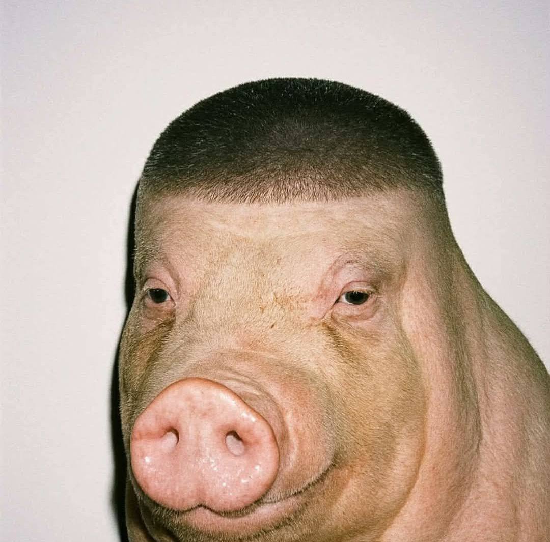 Dobalds