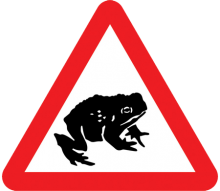 Toadwatch Costessey