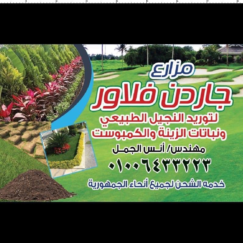 جاردن فلاور للنجيل الطبيعي واعمال الاند سكيب