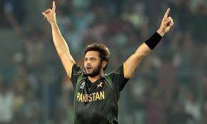 Cricket fans
