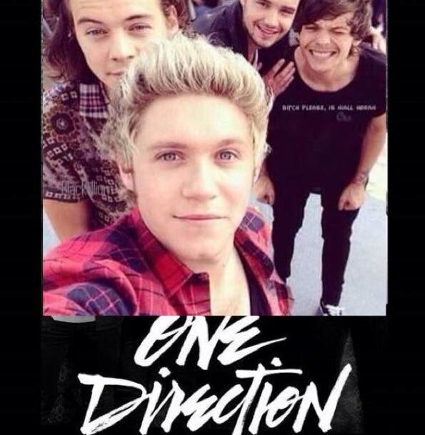 One Direction? La fierté des Directioners.