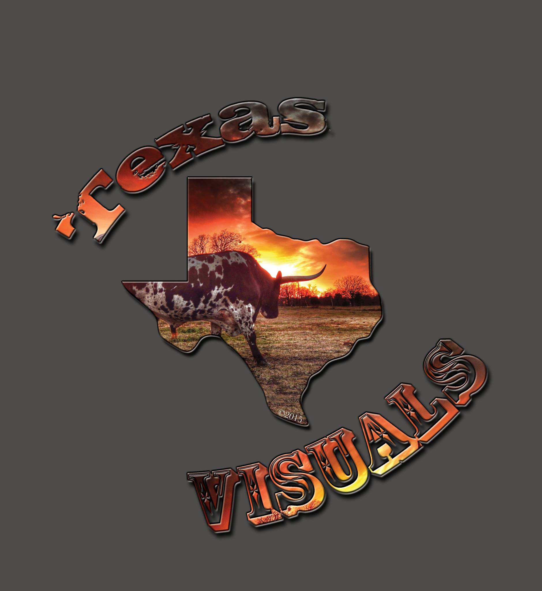 Texas - The way I see it!! How about you? | Facebook