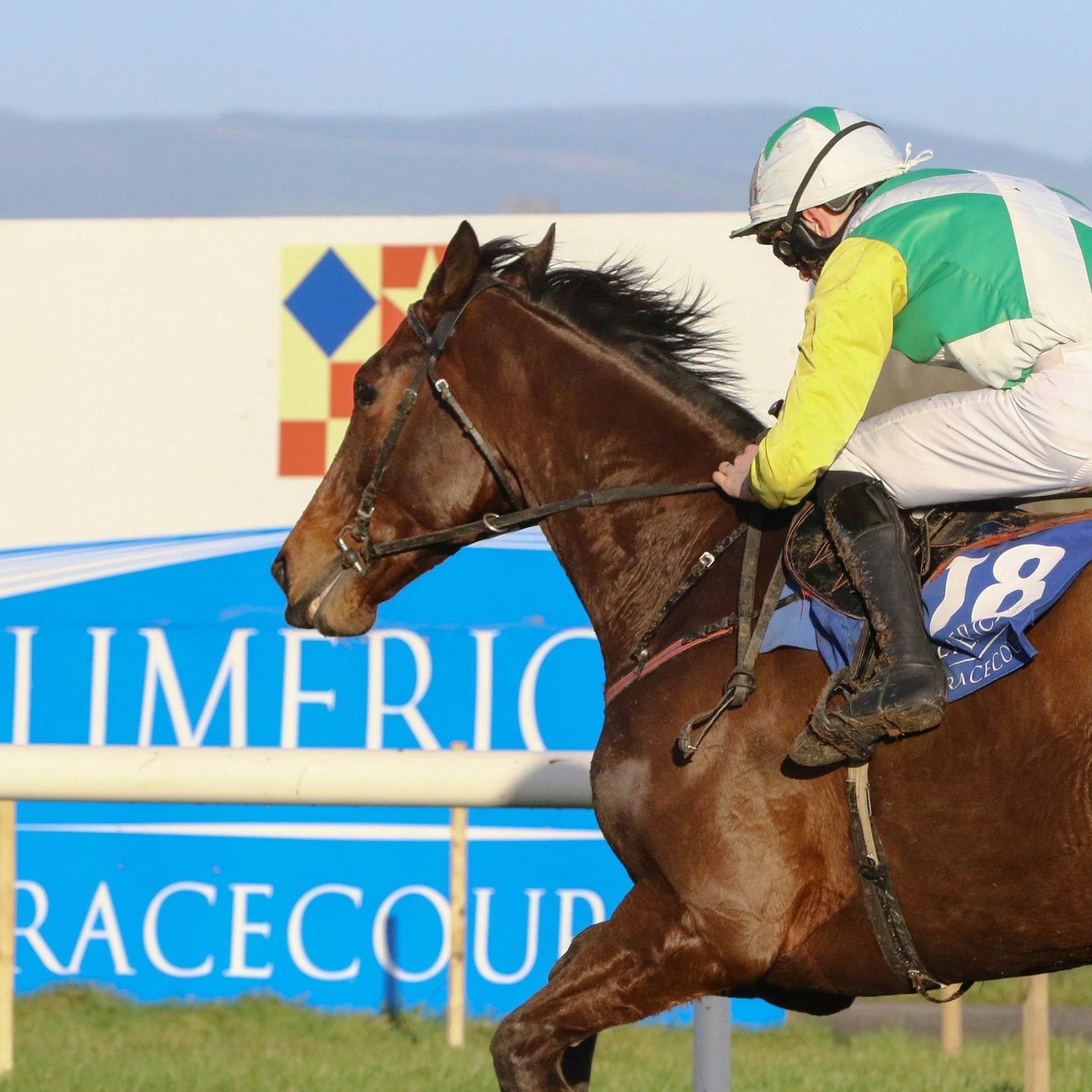 Limerick Races