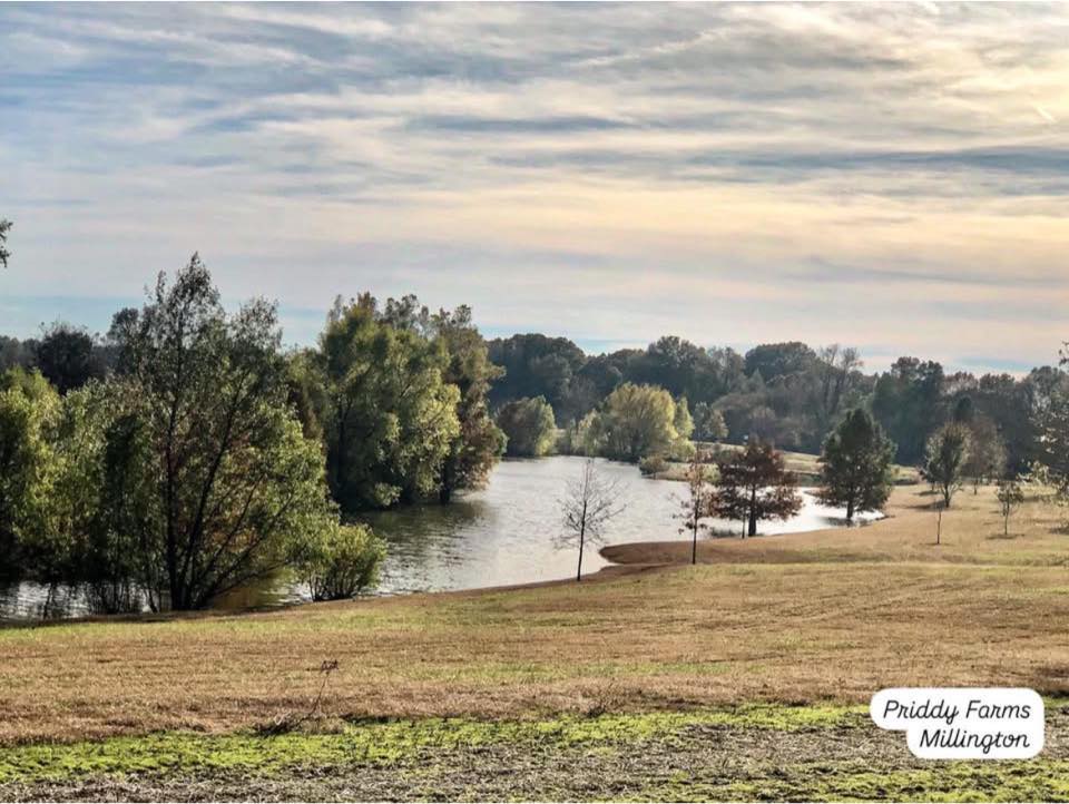 Celebrate the Fall... - Priddy Farms Millington & Bartlett TN | Facebook