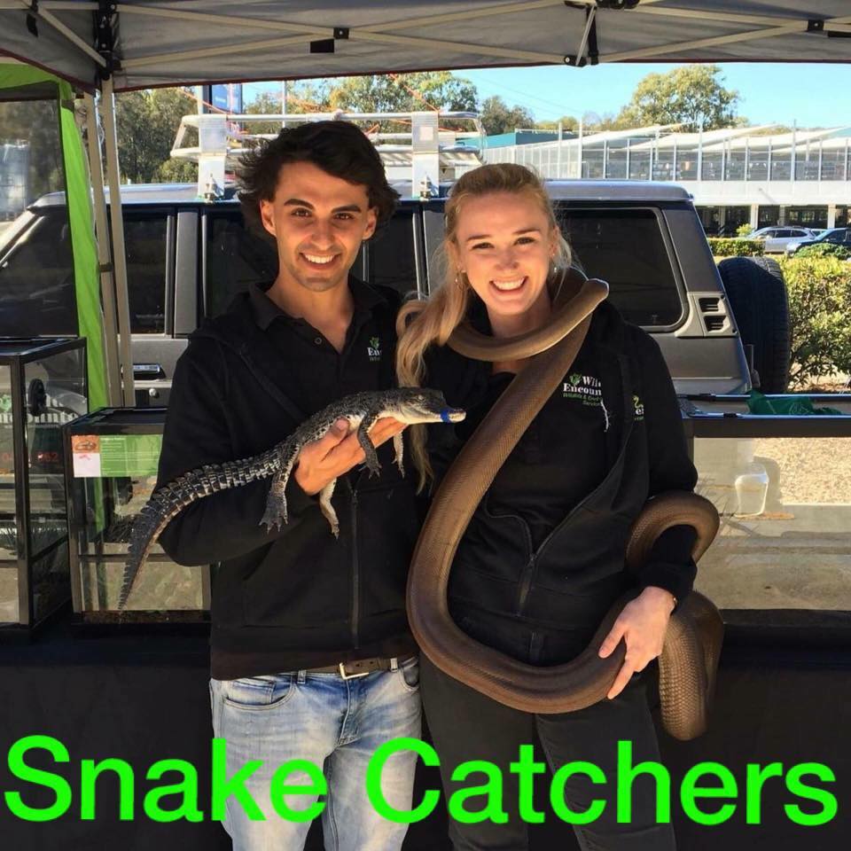 Northern Rivers Snake Catcher