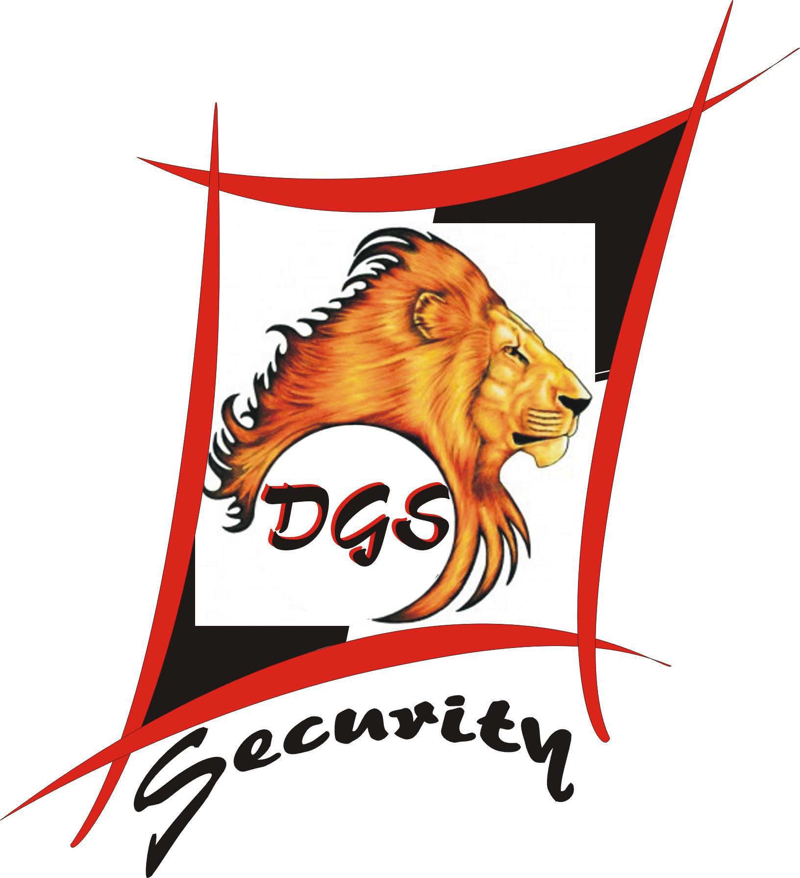 DGS LION Security | Amara