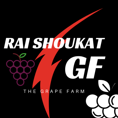 RAI shoukat GRAPE FARM