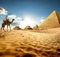 يحدث في مصر والعالم