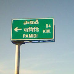 Pamidi