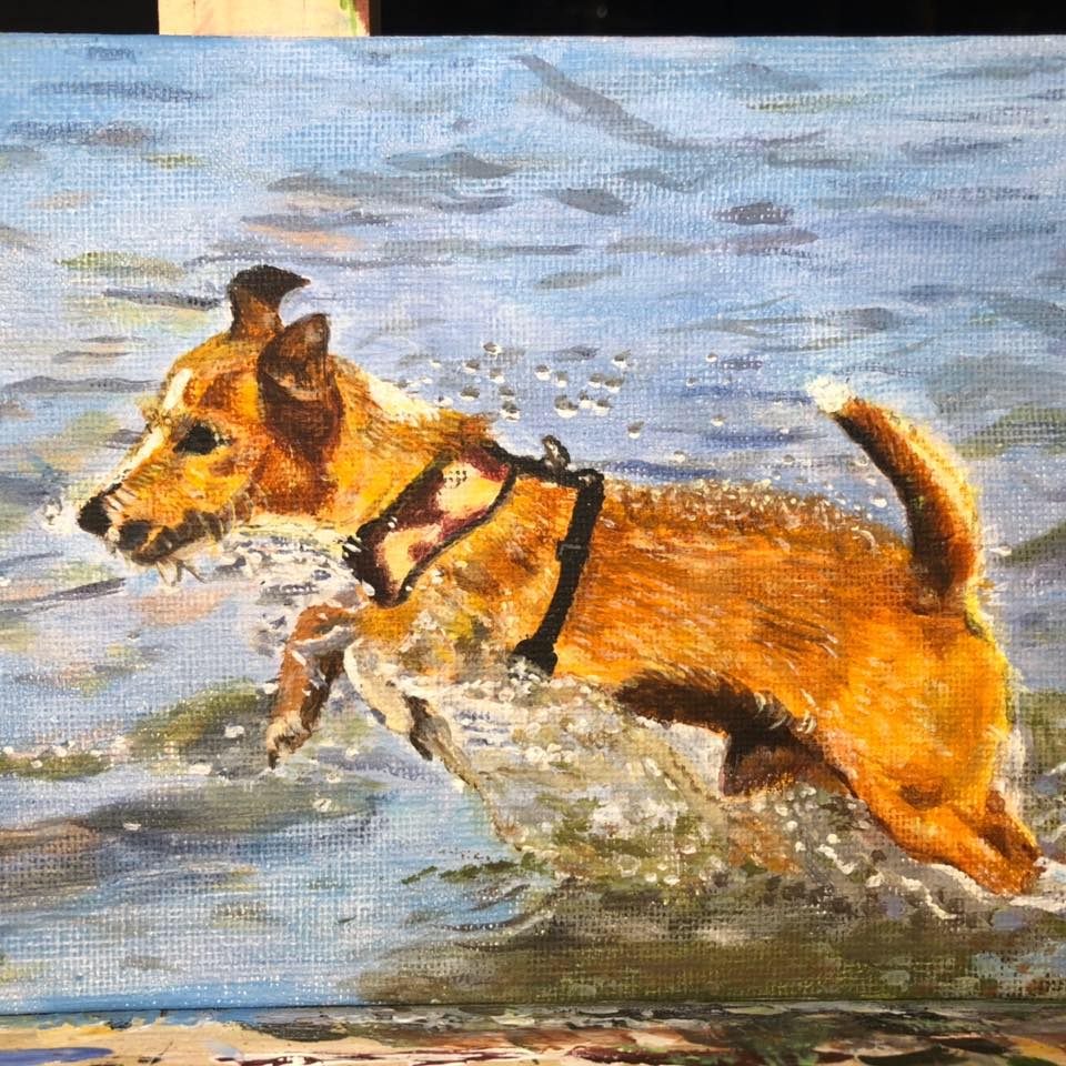 Caught on canvas