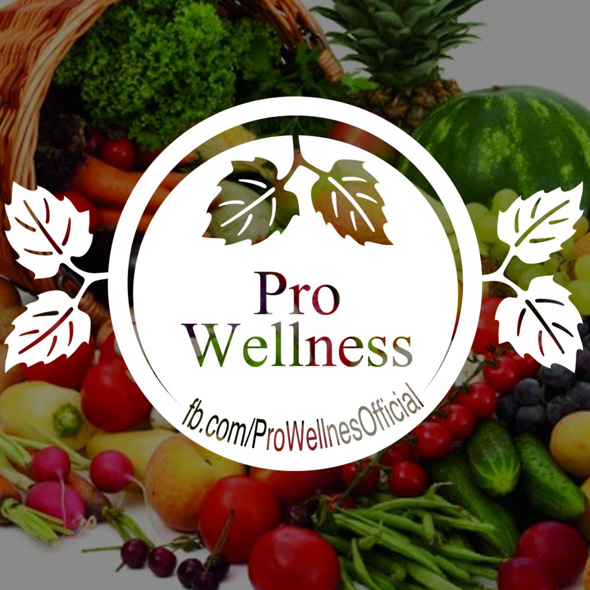 ProWellness - Loving their Imperfections You can also follow us on ...