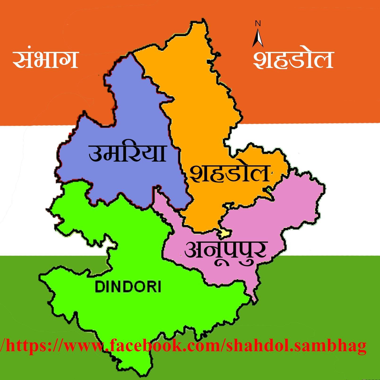 Shahdol Division