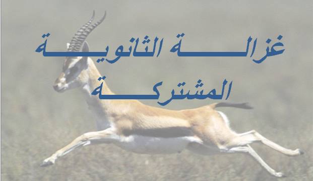 غزالة الثانوية المشتركة | Ghazalah