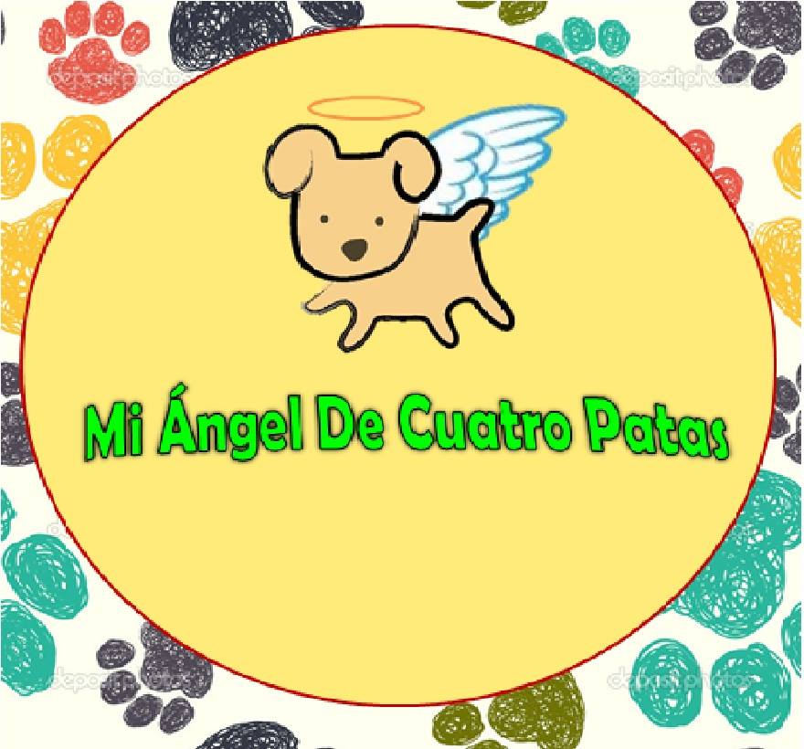 mi-ngel-de-cuatro-patas