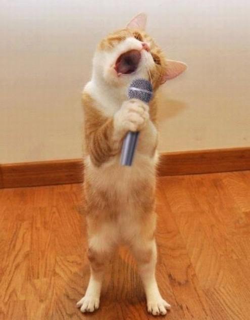 Singing random lyrics of random Songs at random times