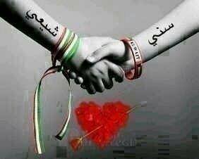 سني+شيعي=مسلم