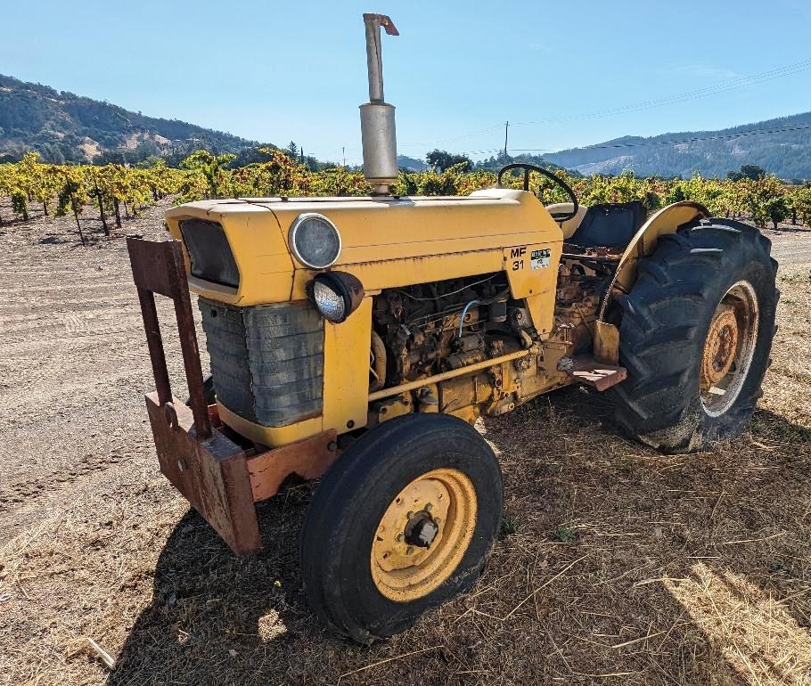 Frediani Vineyards | Calistoga CA