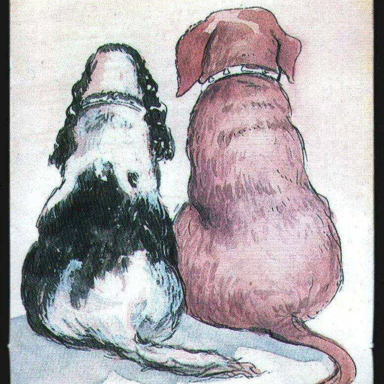 Hughende... - Hughenden And Australia Lost and Found Dogs Cats