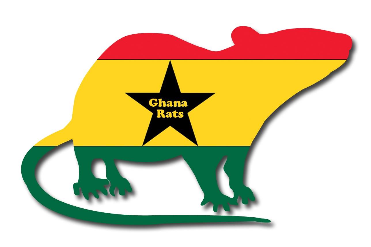 Ghana Rats