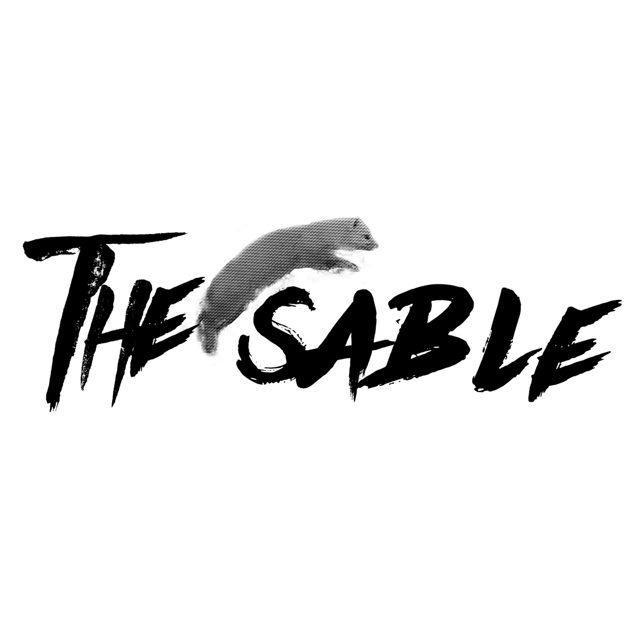 NOCH 0009235 Sable sable 4007246092352