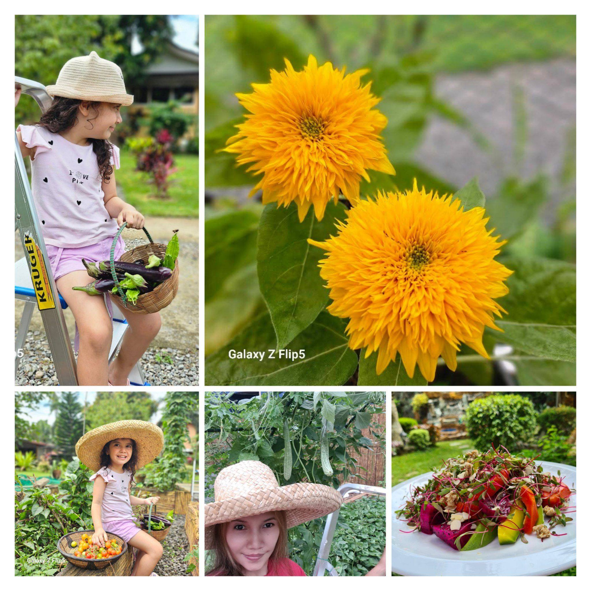 Gardening for food in the Philippines | Sabi ko sa loob ako ng bahay ...