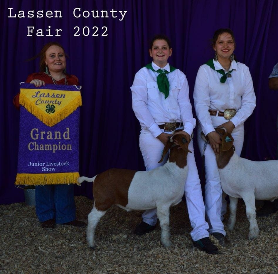 Lazy S Boer Goats | Janesville CA