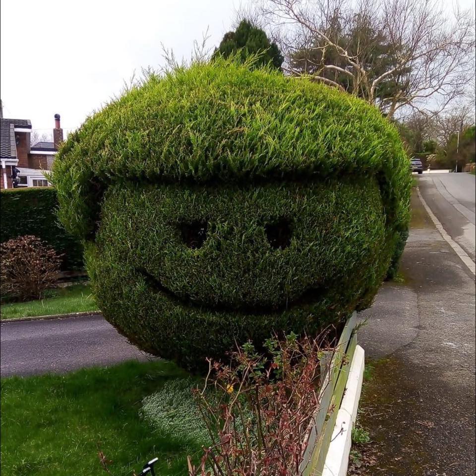 Bradley Green Tree and Garden Services | Congleton