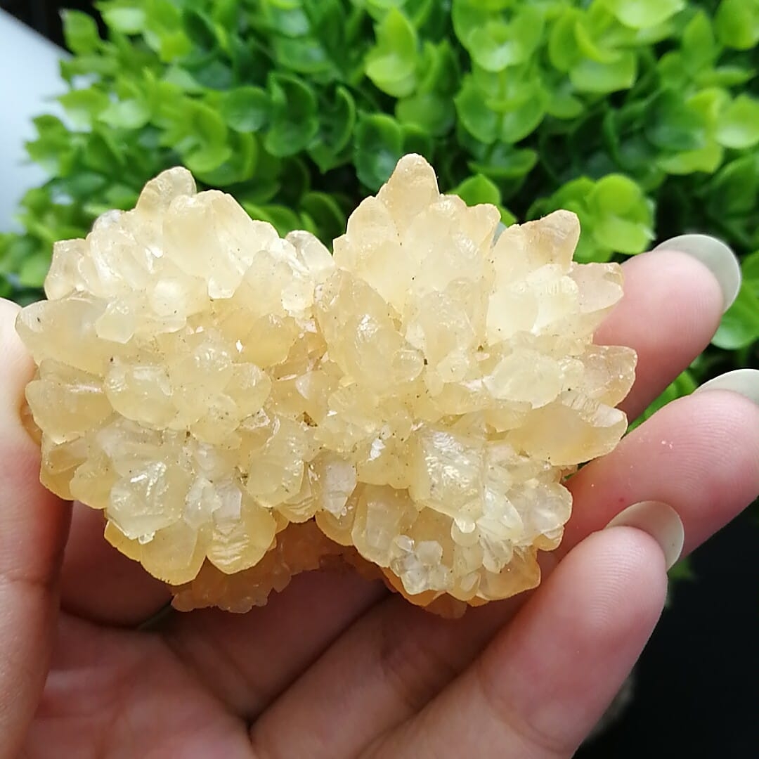 馨缘水晶