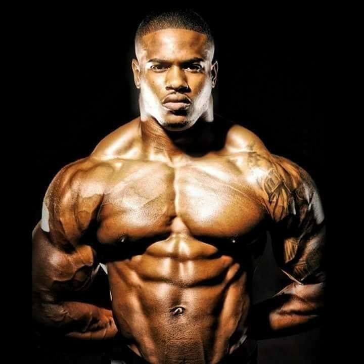 Muscle Laboratory