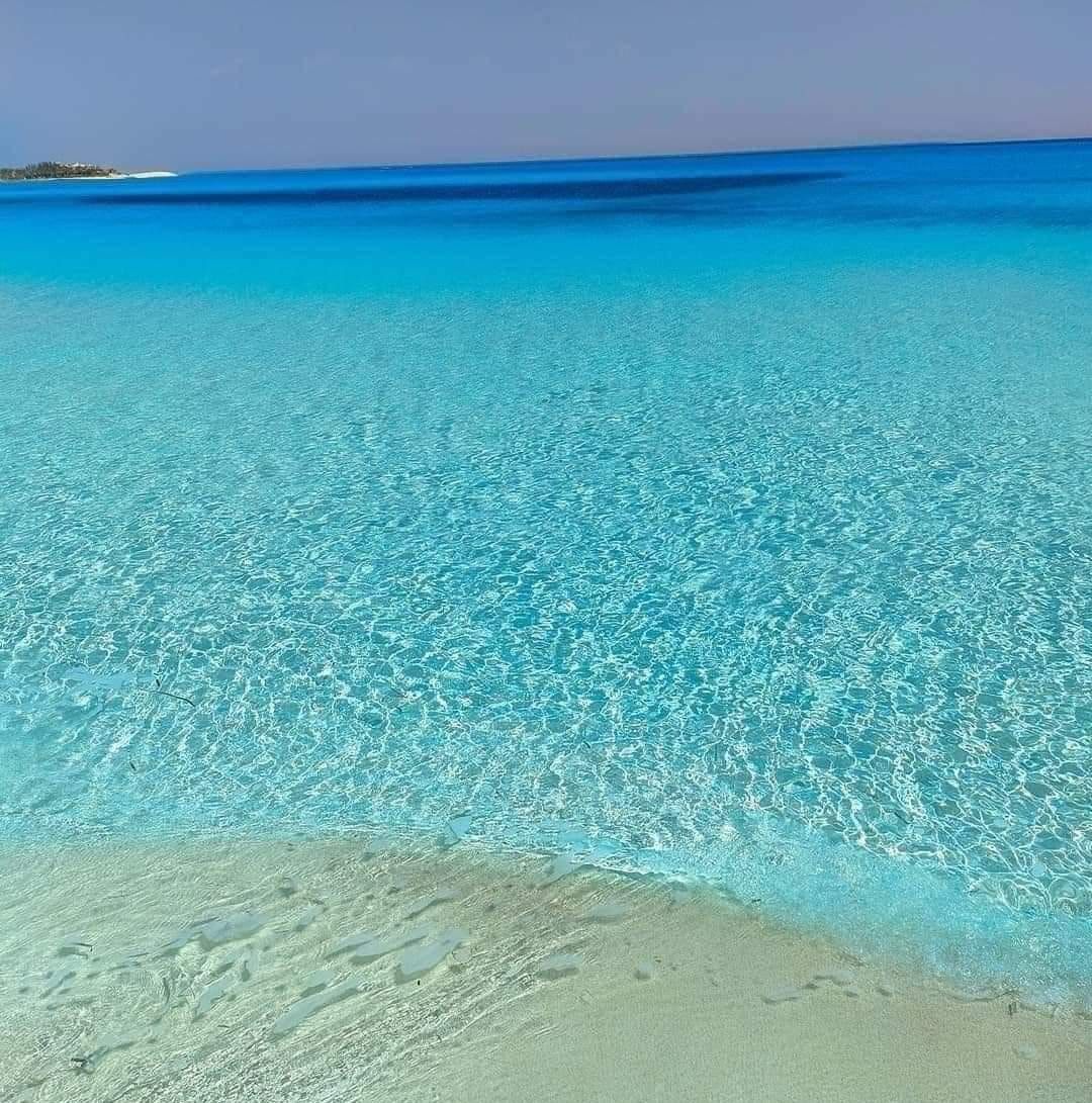 يله بينا