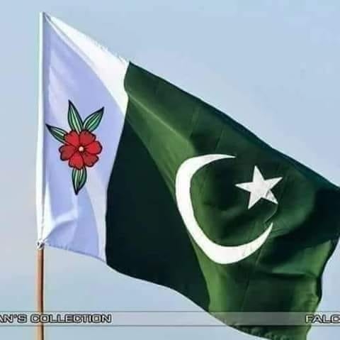 نجیب خان