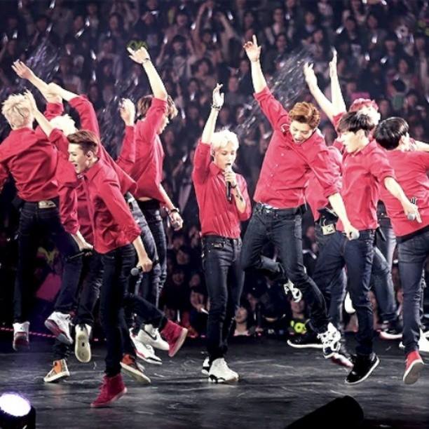 Exo Arabe Exotics Fans