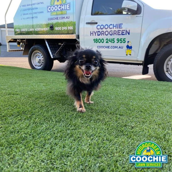 Coochie HydroGreen Redcliffe