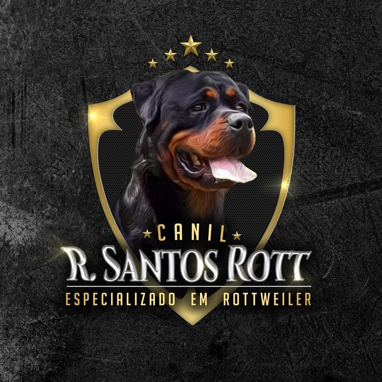 Canil R Santos Rott
