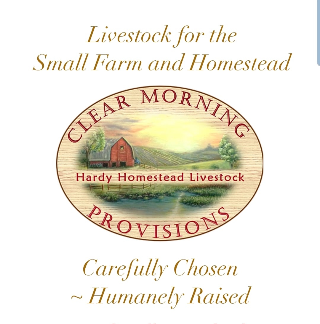Clear Morning Provisions LLC | Hughesville MD
