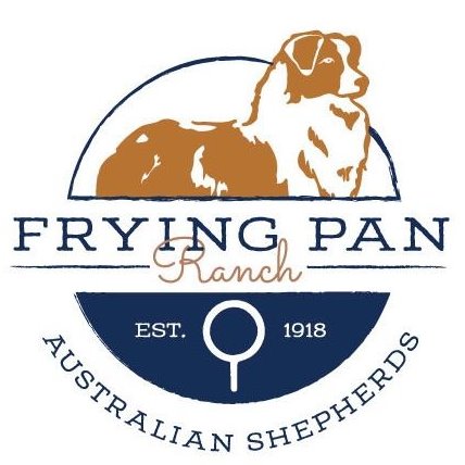 Australian Shepherds- Frying Pan Ranch