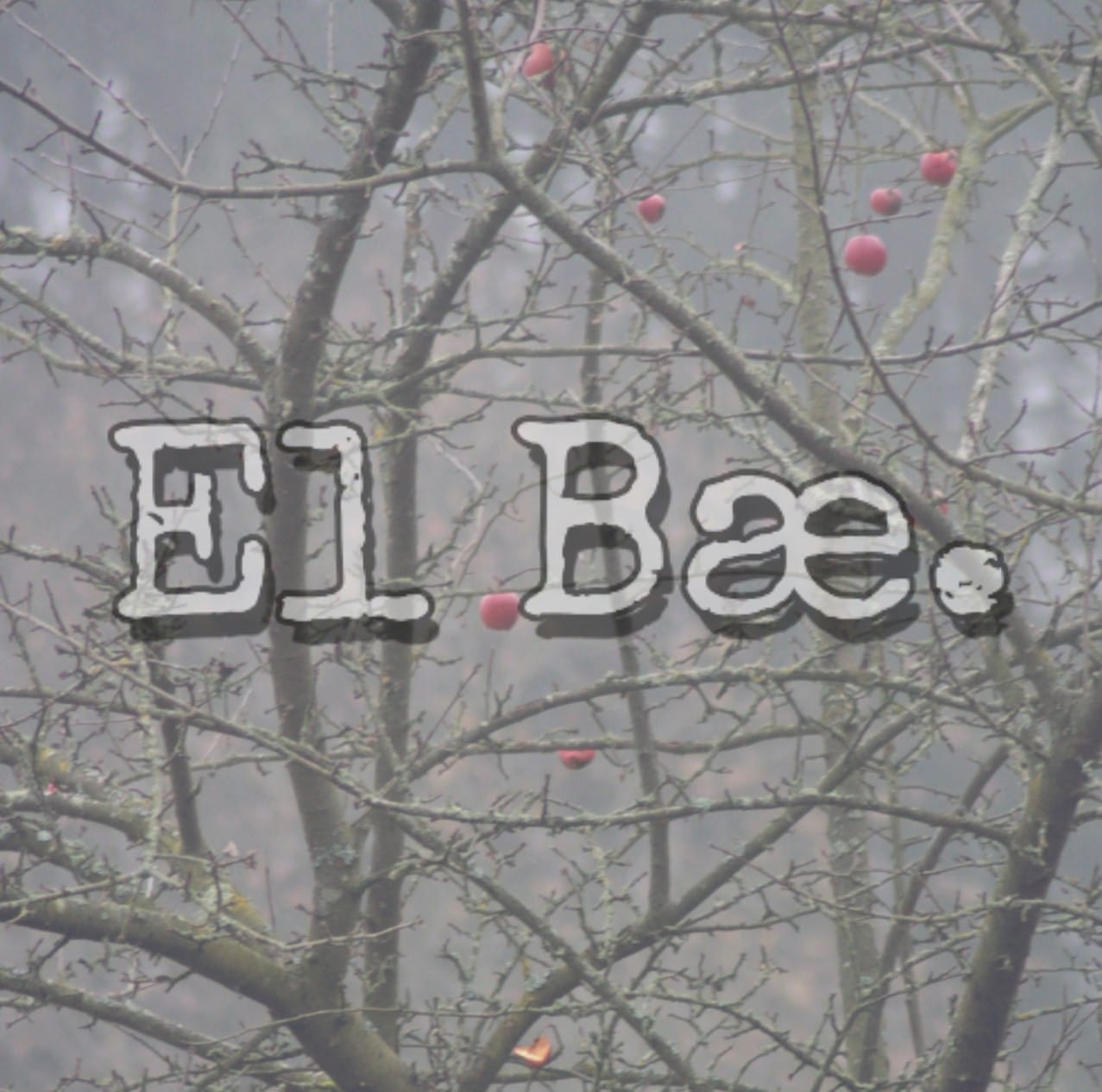 El Bæ.