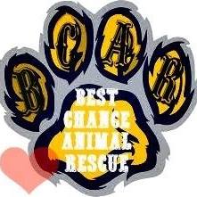 Best Chance Animal Rescue | Scotts Hill TN